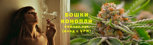 гидра Лагань