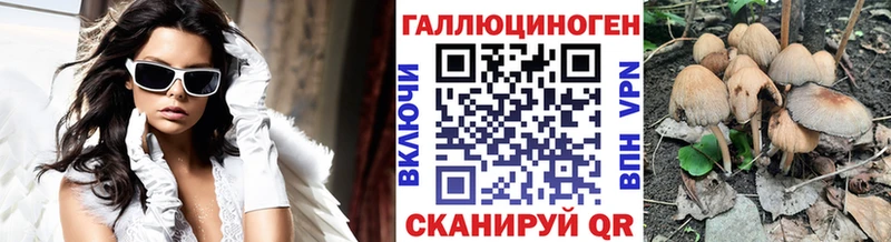 Галлюциногенные грибы Psilocybine cubensis  цены   Южноуральск 